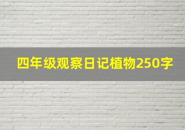 四年级观察日记植物250字