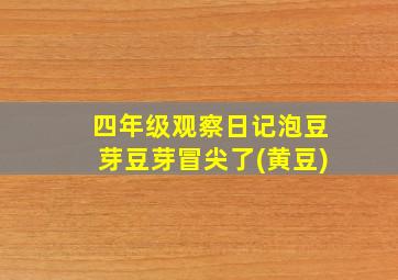 四年级观察日记泡豆芽豆芽冒尖了(黄豆)