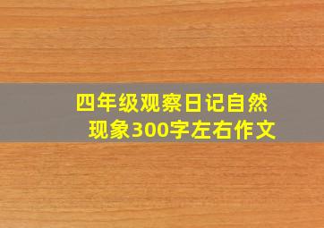 四年级观察日记自然现象300字左右作文