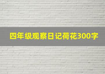 四年级观察日记荷花300字