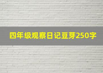 四年级观察日记豆芽250字