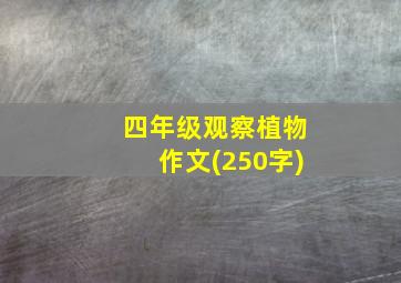 四年级观察植物作文(250字)