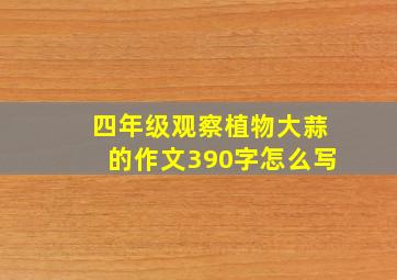 四年级观察植物大蒜的作文390字怎么写