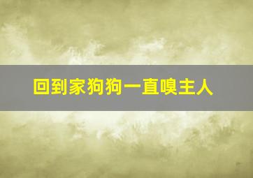 回到家狗狗一直嗅主人