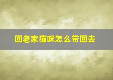 回老家猫咪怎么带回去