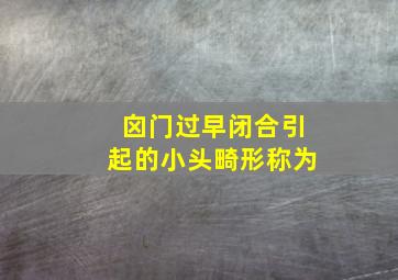 囟门过早闭合引起的小头畸形称为