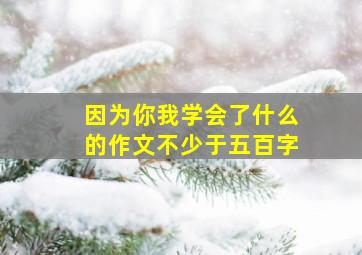 因为你我学会了什么的作文不少于五百字