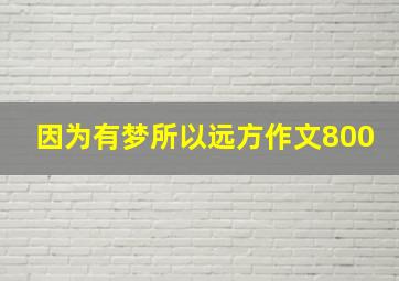 因为有梦所以远方作文800