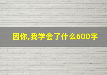 因你,我学会了什么600字