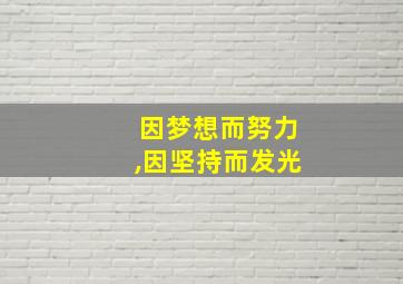 因梦想而努力,因坚持而发光