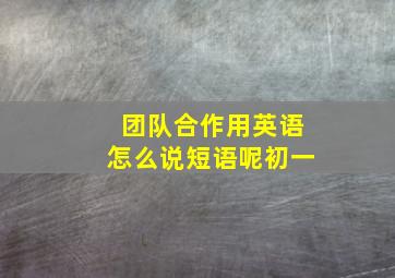 团队合作用英语怎么说短语呢初一