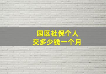 园区社保个人交多少钱一个月