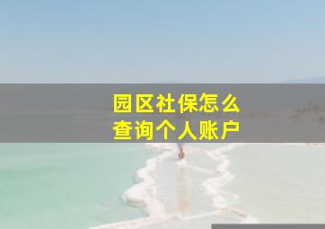 园区社保怎么查询个人账户