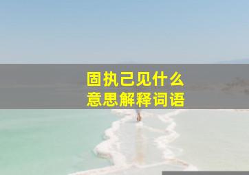 固执己见什么意思解释词语