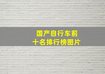 国产自行车前十名排行榜图片