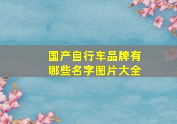 国产自行车品牌有哪些名字图片大全