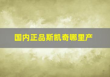 国内正品斯凯奇哪里产