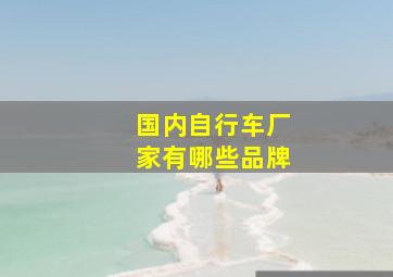 国内自行车厂家有哪些品牌