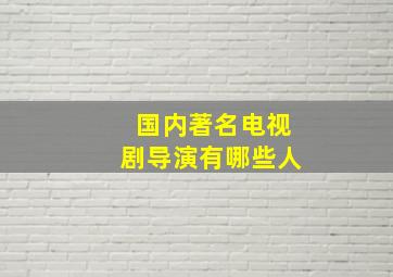 国内著名电视剧导演有哪些人