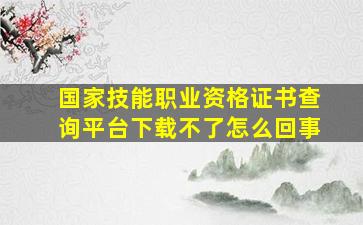 国家技能职业资格证书查询平台下载不了怎么回事