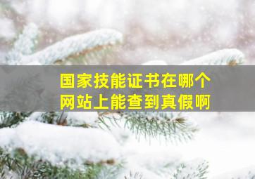 国家技能证书在哪个网站上能查到真假啊