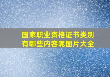 国家职业资格证书类别有哪些内容呢图片大全