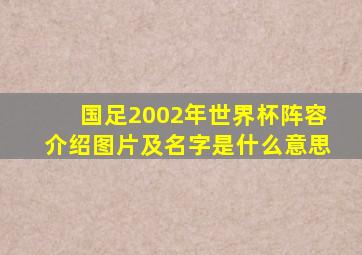 国足2002年世界杯阵容介绍图片及名字是什么意思