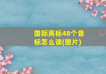 国际英标48个音标怎么读(图片)