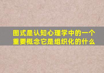 图式是认知心理学中的一个重要概念它是组织化的什么