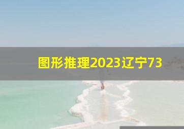 图形推理2023辽宁73