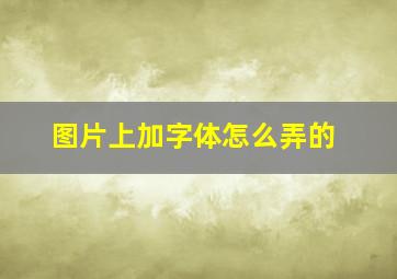 图片上加字体怎么弄的