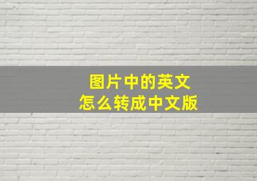 图片中的英文怎么转成中文版