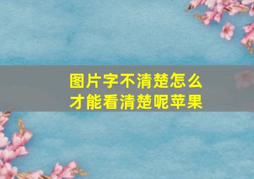 图片字不清楚怎么才能看清楚呢苹果