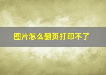 图片怎么翻页打印不了