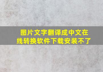 图片文字翻译成中文在线转换软件下载安装不了