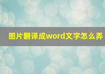 图片翻译成word文字怎么弄