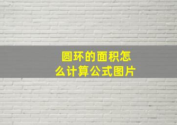 圆环的面积怎么计算公式图片