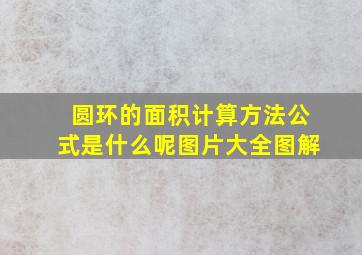 圆环的面积计算方法公式是什么呢图片大全图解