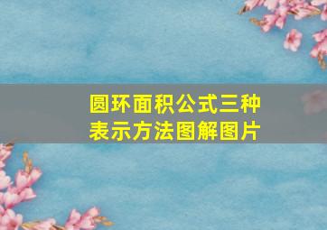 圆环面积公式三种表示方法图解图片