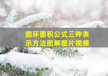 圆环面积公式三种表示方法图解图片视频