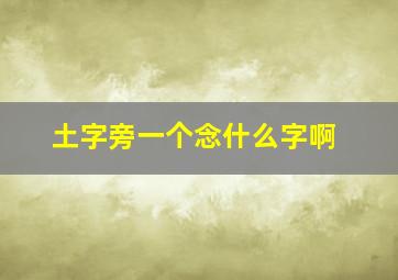 土字旁一个念什么字啊