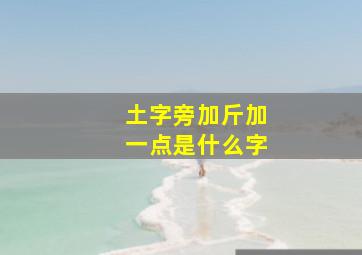 土字旁加斤加一点是什么字