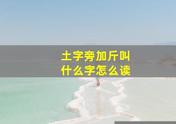 土字旁加斤叫什么字怎么读