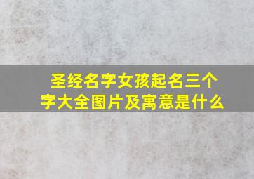 圣经名字女孩起名三个字大全图片及寓意是什么