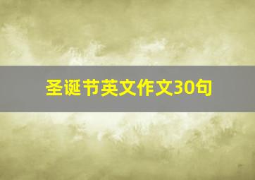 圣诞节英文作文30句