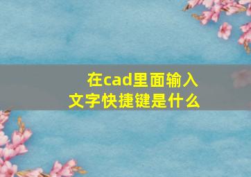 在cad里面输入文字快捷键是什么