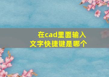 在cad里面输入文字快捷键是哪个