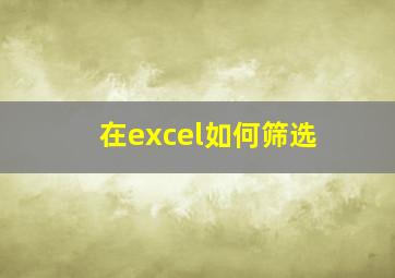 在excel如何筛选