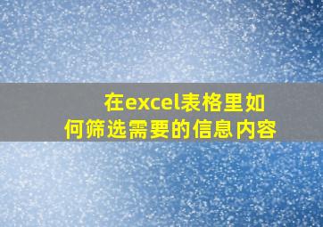 在excel表格里如何筛选需要的信息内容