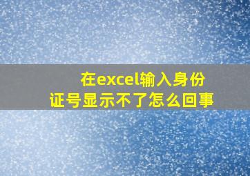 在excel输入身份证号显示不了怎么回事